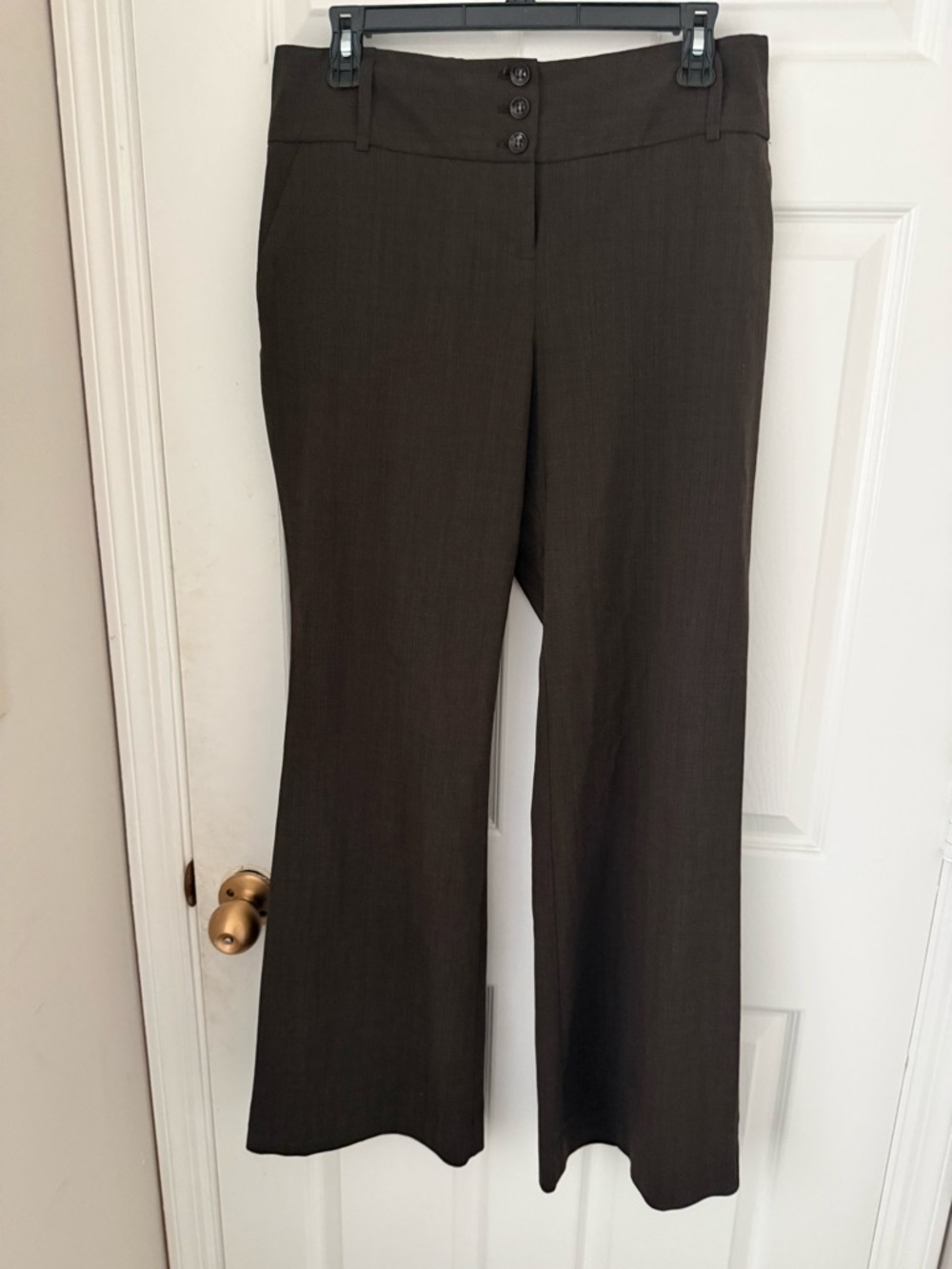 The Limited Travel Collection Brown Pants